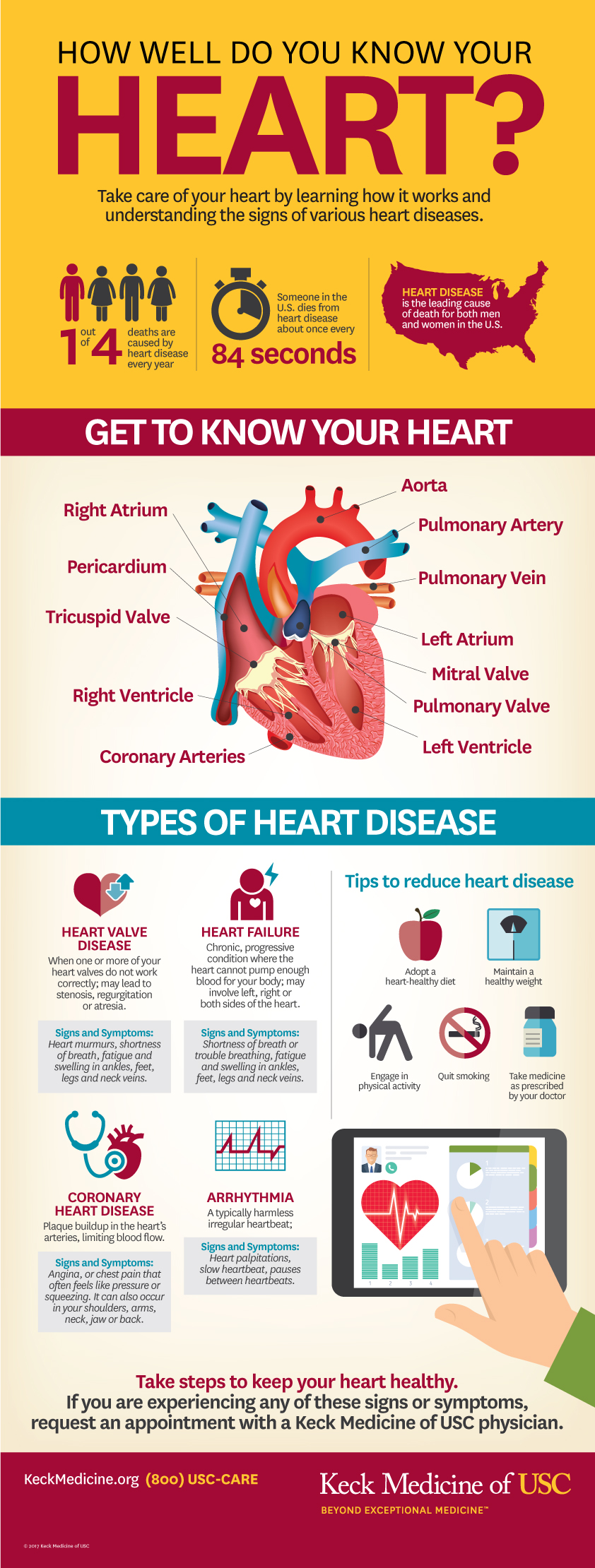 speech on healthy heart